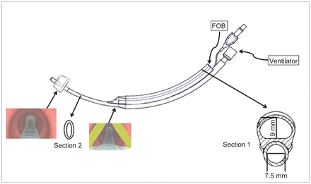 Fig. 1.