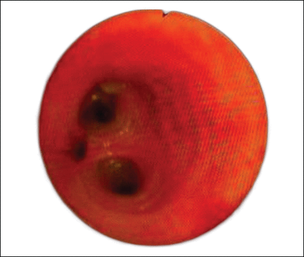 Fig. 3.