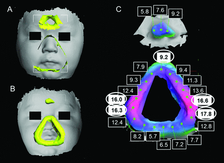 Fig. 6.