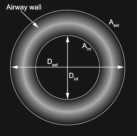 Fig. 5.