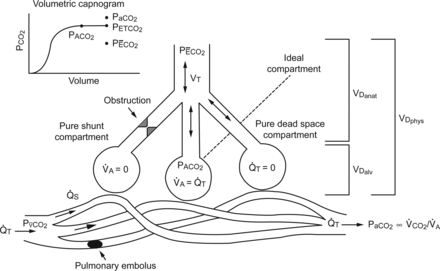 Fig. 13.