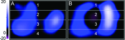 Fig. 5.