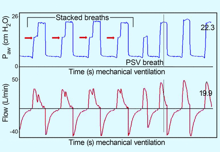 Fig. 8.