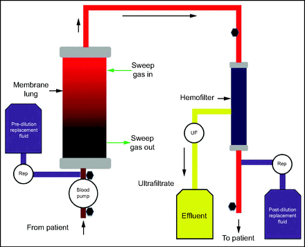 Fig. 8.