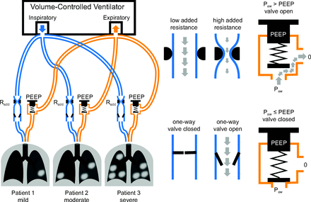 Fig. 2.