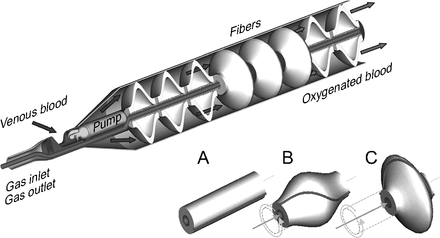 Fig. 8.