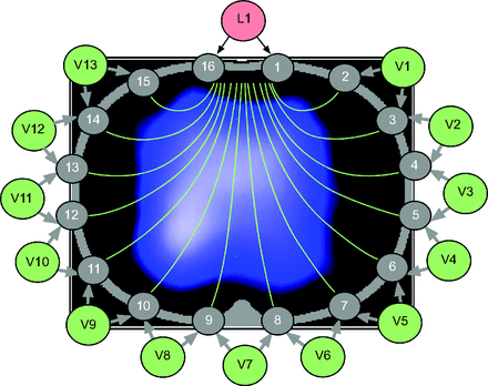 Fig. 1.