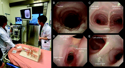 Fig. 2.