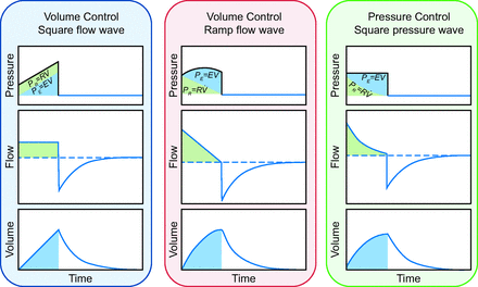 Fig. 10.